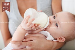 母嬰生活護理 科學育兒，守護新生旅程